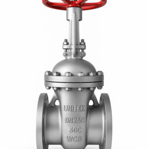 Bolted Bonnet IBR Gate Valve