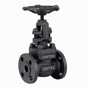 Forged Steel Gate Valve
