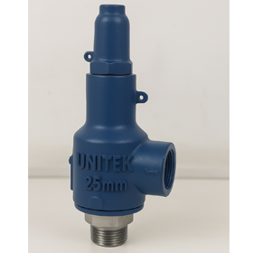 Pressure Relief Valve Screwed