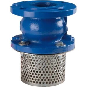 Foot Valve