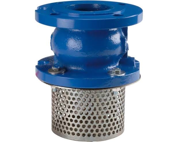 Foot Valve