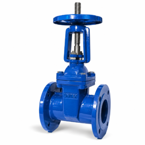 Rising Spindle Gate Valve