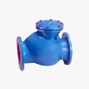 Swing Type Non Return Valve